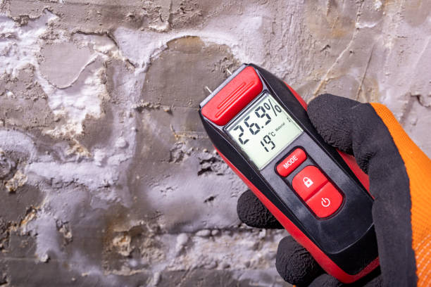 Best Water Damage Restoration  in Jefferson Hills, PA