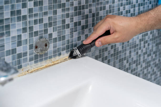 Best Mold Testing and Removal  in Jefferson Hills, PA